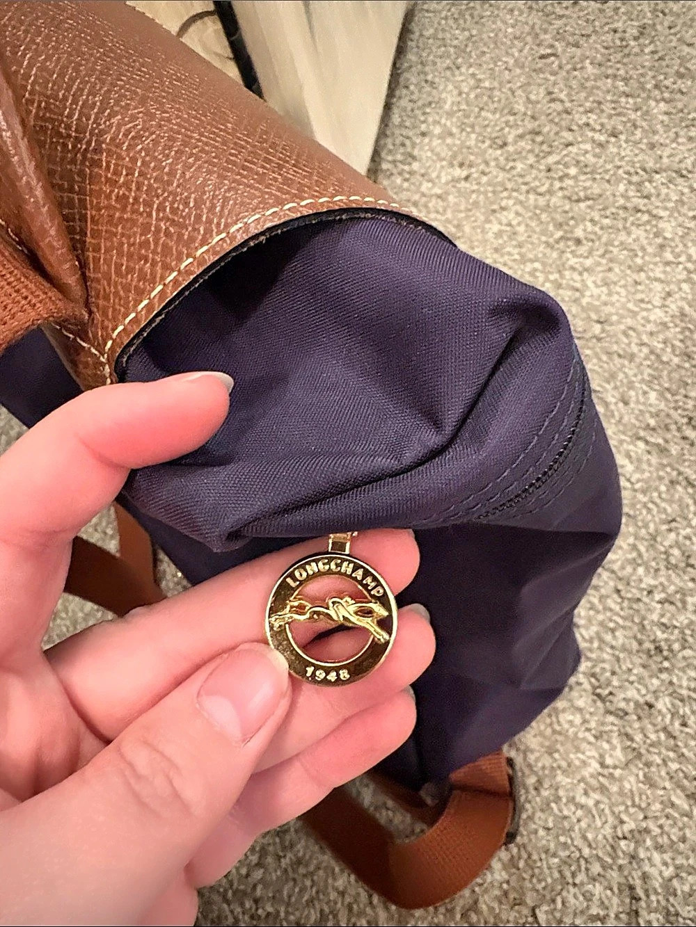 Longchamp Backpack in Purple & Brown - Picture 4 of 7